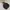 Polham Minimalist Casual Parka Kids black photo 1
