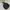 Polham Minimalist Casual Parka Kids Black