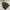 Polham Minimalist Casual Parka Kids black photo 6