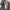 Polham Minimalist Casual Parka Kids black photo 5