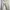 Executive Casual Reworked Casual trouser Wanita cream photo 2