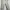Executive Casual Reworked Casual trouser Wanita cream photo 1