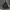 Grunge Goth Babydoll dress Wanita white black photo 6