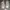 Nike Streetwear Sportswear Sneakers Pria white photo 3