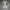 Nike Streetwear Sportswear Sneakers Pria white photo 2