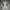Nike Streetwear Sportswear Sneakers Pria White