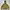 Arc'teryx Gorpcore Fur Coat Pria Green