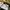 Arc'teryx Gorpcore Fur coat Pria green photo 5