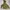 Arc'teryx Gorpcore Fur coat Pria green photo 1