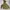 Arc'teryx Gorpcore Fur Coat Pria Green