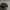 Lacoste Vintage Casual Hat Pria black photo 7