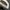 New Balance Streetwear Sportswear Hat Pria cream photo 8