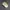 New Balance Streetwear Sportswear Hat Pria cream photo 5