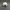 New Balance Streetwear Sportswear Hat Pria cream photo 4