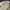 New Balance Streetwear Sportswear Hat Pria cream photo 6