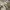 New Balance Streetwear Sportswear Hat Pria cream photo 7