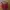 Colorbox Casual Bralette Wanita red photo 1