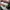 Vans Casual Casual shoe Pria green white photo 5