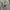 Nike Streetwear Sportswear Sweatpants & Joggers Pria gray photo 4