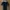 Topshop Luxury Bodycon dress Wanita black photo 1