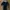 Topshop Luxury Bodycon Dress Wanita Black