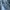 Levi's Casual Jeans Pria blue photo 7