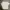 Casual Crop top Wanita white photo 1