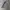 Zegna Luxury Casual Suit Pria white black photo 3