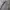 Zegna Luxury Casual Suit Pria white black photo 4