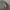 Burberry Vintage Casual Sweater Pria tan photo 4