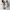 Asics Streetwear Sportswear Sneakers Pria tan photo 4