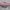 Dior Vintage Handbag Wanita pink photo 6