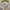 H&M Biker Casual Sweater Pria white tan photo 5