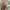 H&M Biker Casual Sweater Pria white tan photo 6