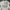 Nike Vintage Sportswear Jersey Pria white photo 2