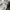 Nike Vintage Sportswear Jersey Pria white photo 6