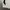 Nike Vintage Sportswear Jersey Pria white photo 4