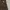 Carhartt Streetwear Y2K Short Pria brown photo 4