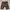 Carhartt Streetwear Y2K Short Pria brown photo 3