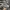 New Balance Streetwear Y2K Sneakers Pria Gray