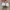 Vivienne Westwood Luxury Lolita Flat Wanita pink photo 4