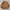 Casual Sweatshirt Pria brown photo 1