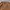 Casual Sweatshirt Pria brown photo 4