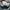 Casio Casual Casual shoe Pria navy gray photo 5