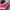 Adidas Casual Sneakers Wanita pink photo 2