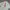ECKO UNLTD Vintage Y2K Casual shirt Pria khaki photo 5