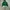 Adidas Casual Hoody Wanita green photo 7