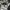 Arc'teryx Gorpcore Fur coat Pria black photo 6