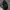 COMME des GARÇONS Y2K Luxury Bag Pria black photo 4