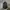 COMME des GARÇONS Y2K Luxury Bag Pria black photo 3